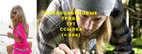 эйфоретик Киреевск