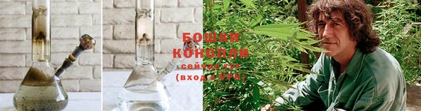 прущие крисы Киренск