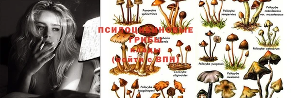 тгк Кинешма