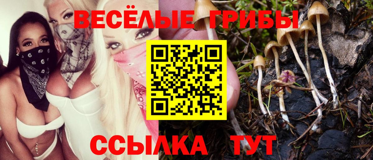 Железногорск  Галлюциногенные грибы GOLDEN TEACHER  Вход с VPN 