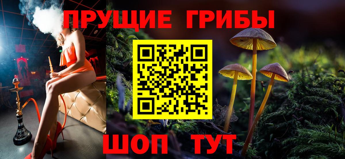 Галлюциногенные грибы прущие грибы Железногорск