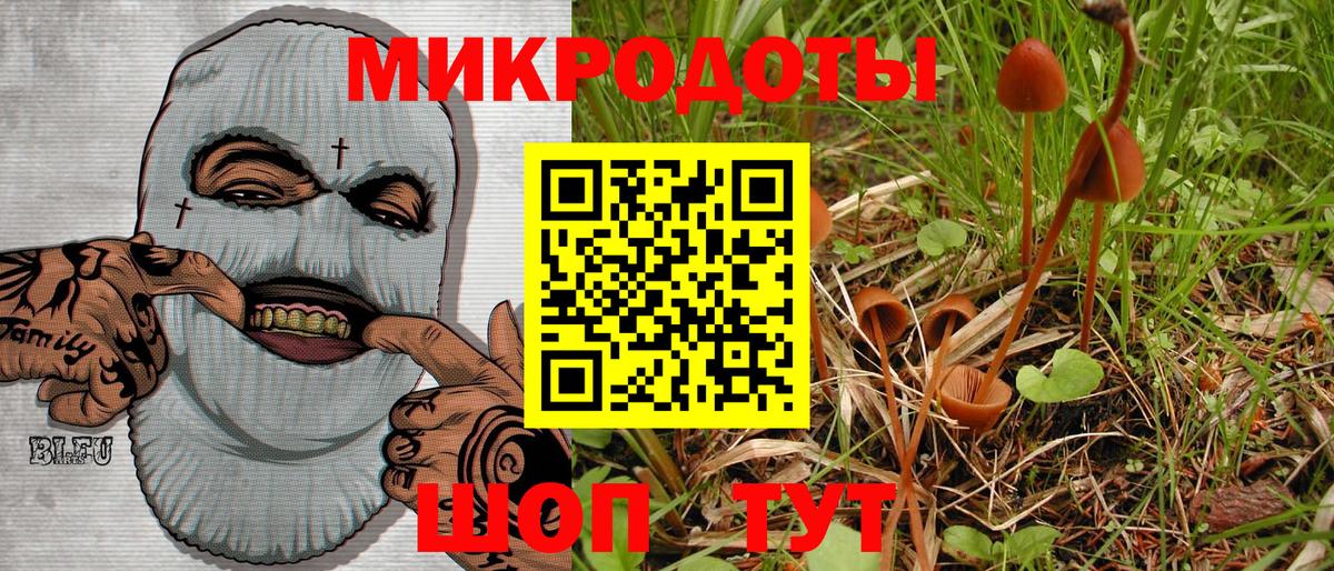 Псилоцибиновые грибы мицелий Железногорск